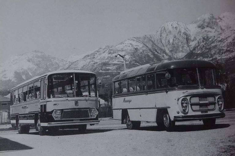 295911338_531102668700657_1754148578788168563_n