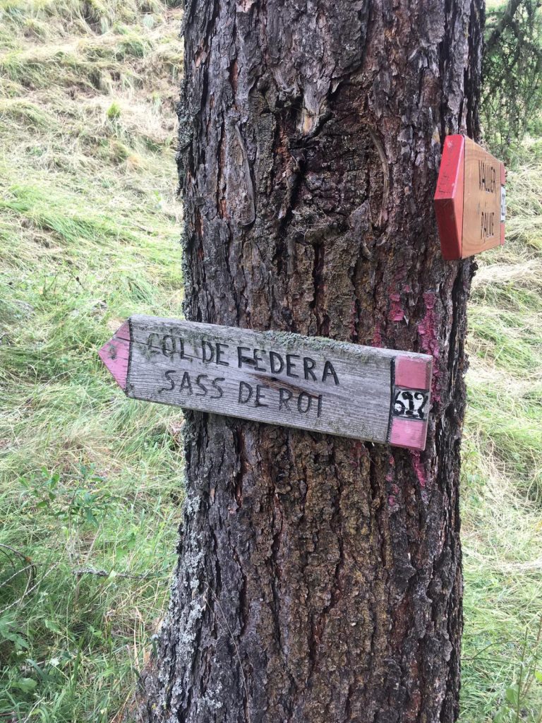 4d3ce56b-26e2-46f3-9da5-ab6407701abc