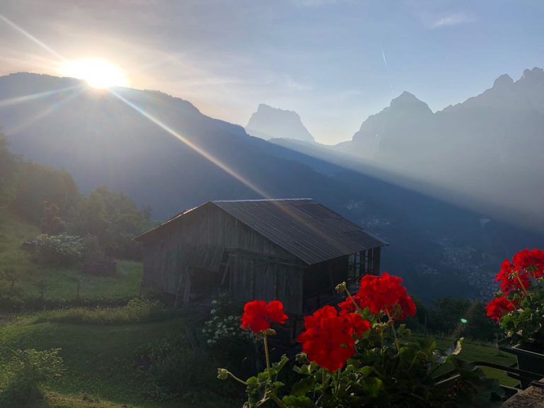 4d50f3ae-0546-4f97-994a-03550d487deb