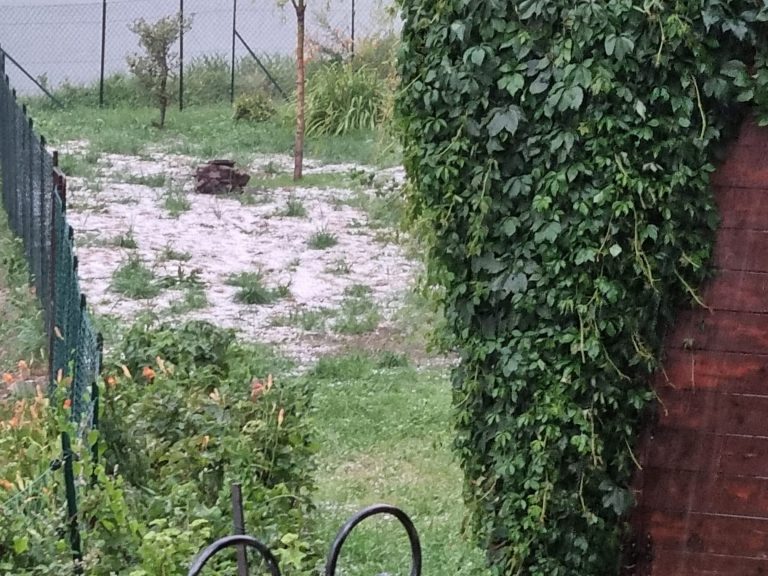 9c665916-719b-4265-905d-1532fc311299