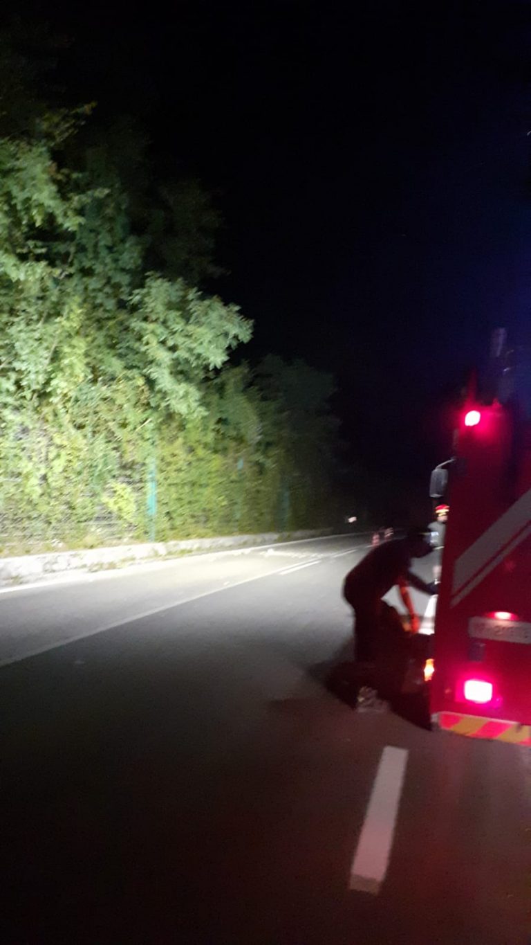 9db5d811-2d2a-41a6-a780-99d01a468a17