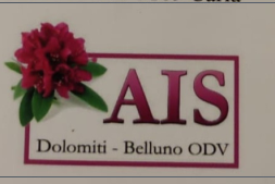ASDASDASD