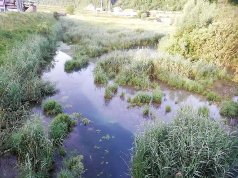 Area palustre La Secca1