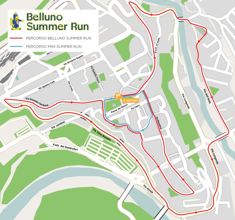 BSR_mappa_rid-768×719