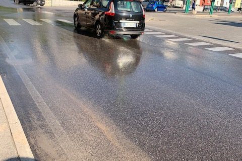 IMG_8334