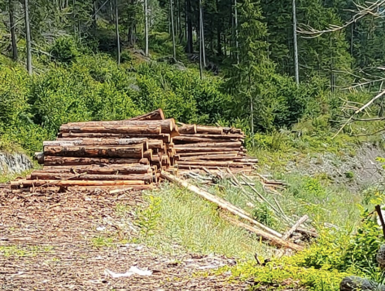 Schermata 2022-07-28 alle 17.29.10