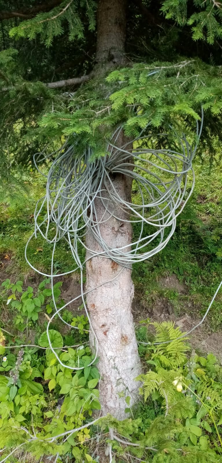 ba0f2ed5-39a2-42ef-b06a-a4565354e6ce