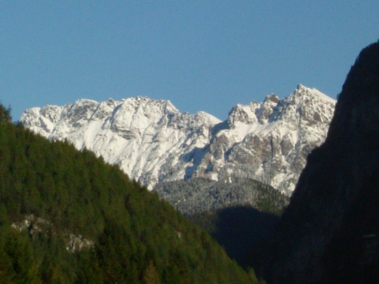 marmolada