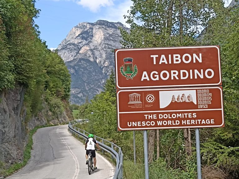 08445607-590e-4bb1-a25f-88d593548286