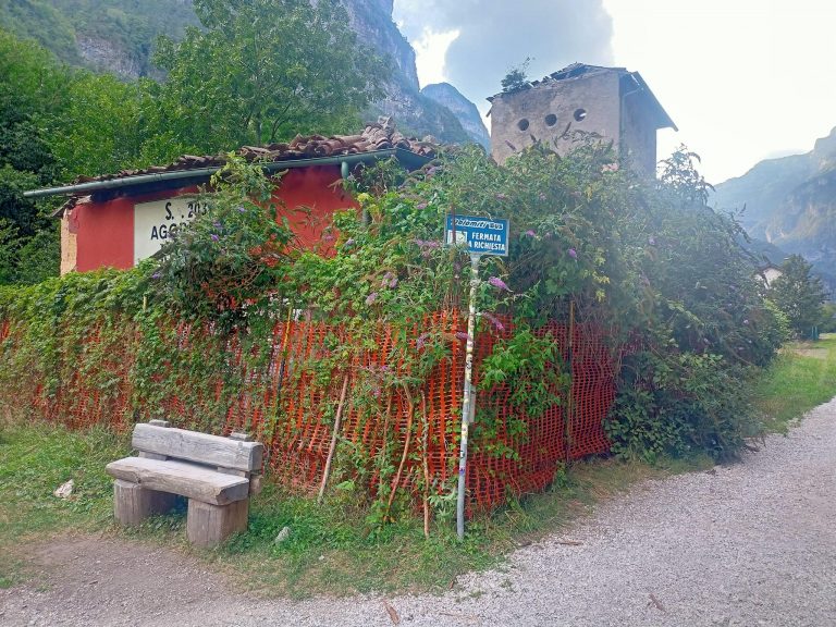 299750323_1147791492442686_4561550085043016454_n