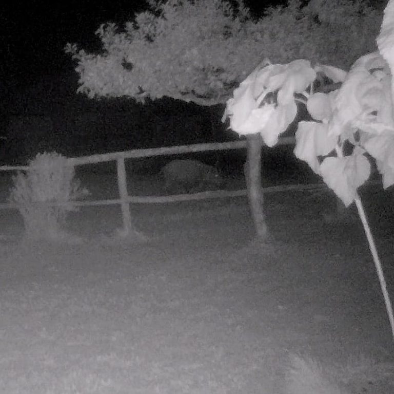 3104ab1b-0fdf-43d2-8768-c05e87b5ff97