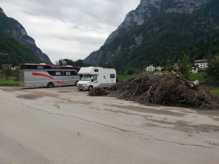 3189630a-9394-4cea-befc-03ecc952c308