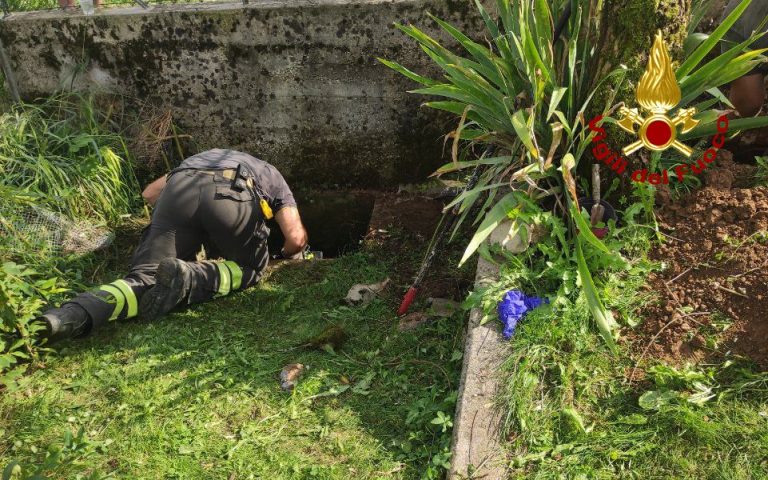 456d4954-193b-4765-9f37-29af62df0866