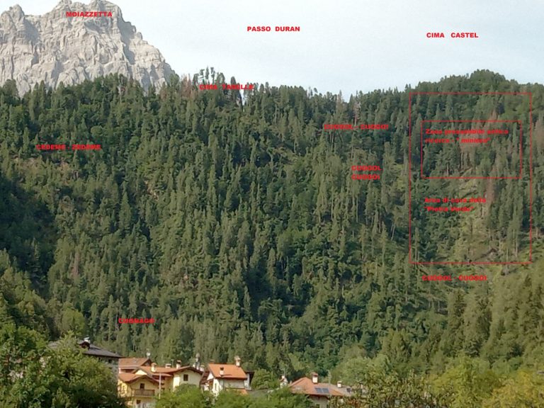 50d5c8bd-c39a-44ee-8b8e-5c0a24279b7a