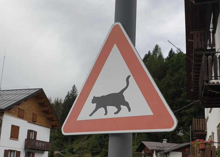 Schermata 2022-08-18 alle 12.50.36