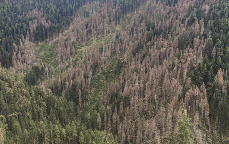 Schermata 2022-08-28 alle 15.35.00