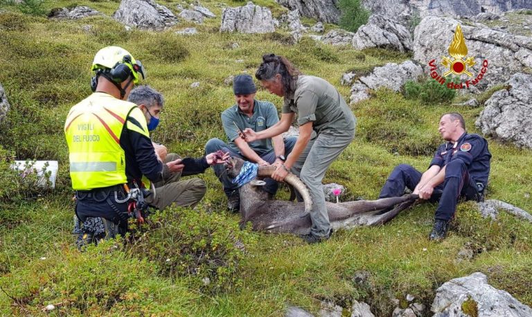 a50da27e-ecea-4ca6-a8ca-c6a3d6730ad7