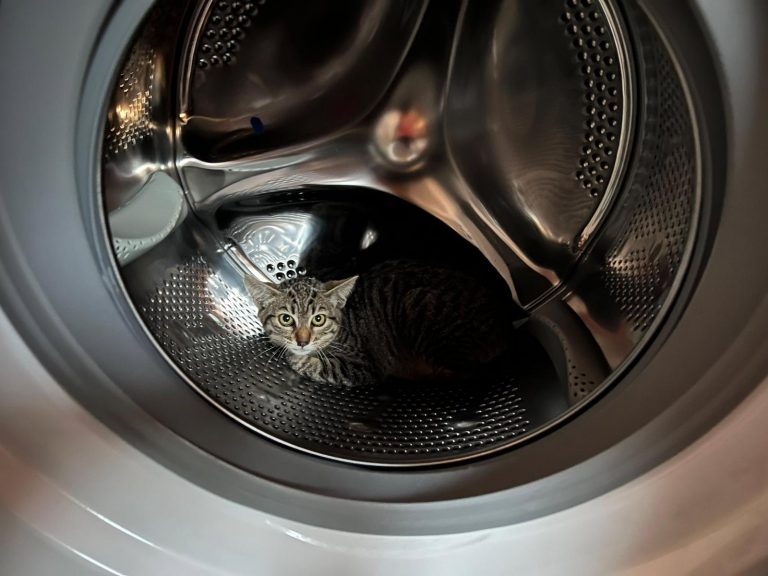 cb3a9d2d-299f-42e7-971d-621e570e744b