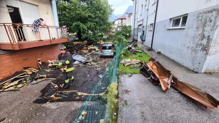 190156018-fdd84808-6b8d-486f-b872-586d36158ffe