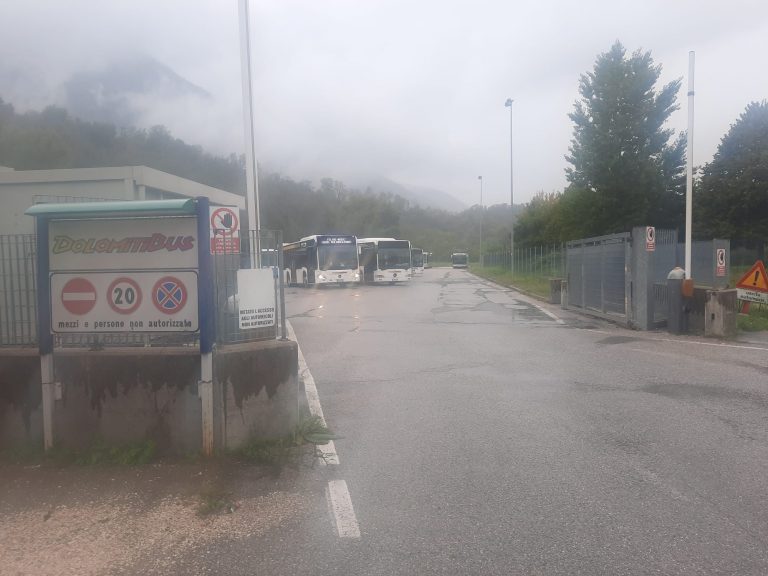 28600f9a-18a6-4527-9955-24adaad9d677