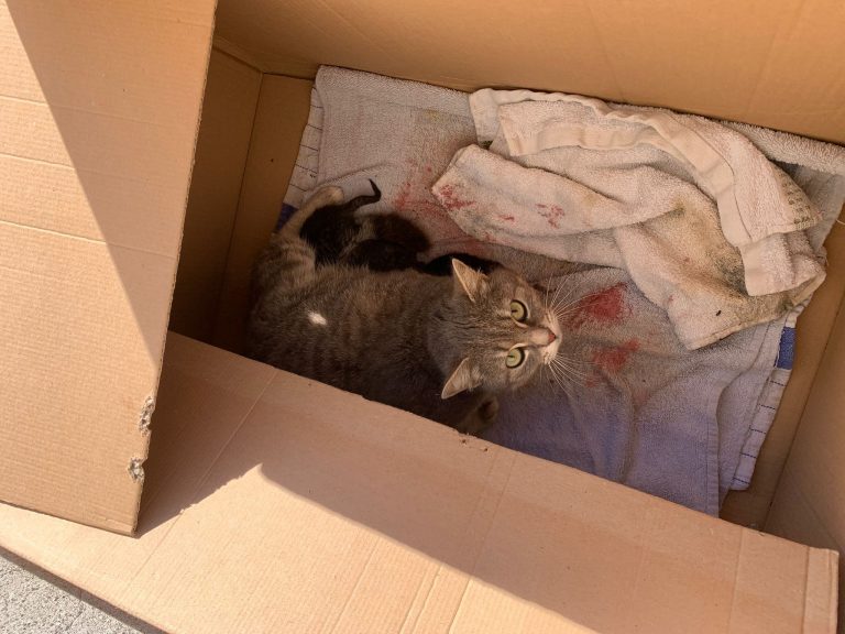 299316876_186944860399277_3621967238827004386_n