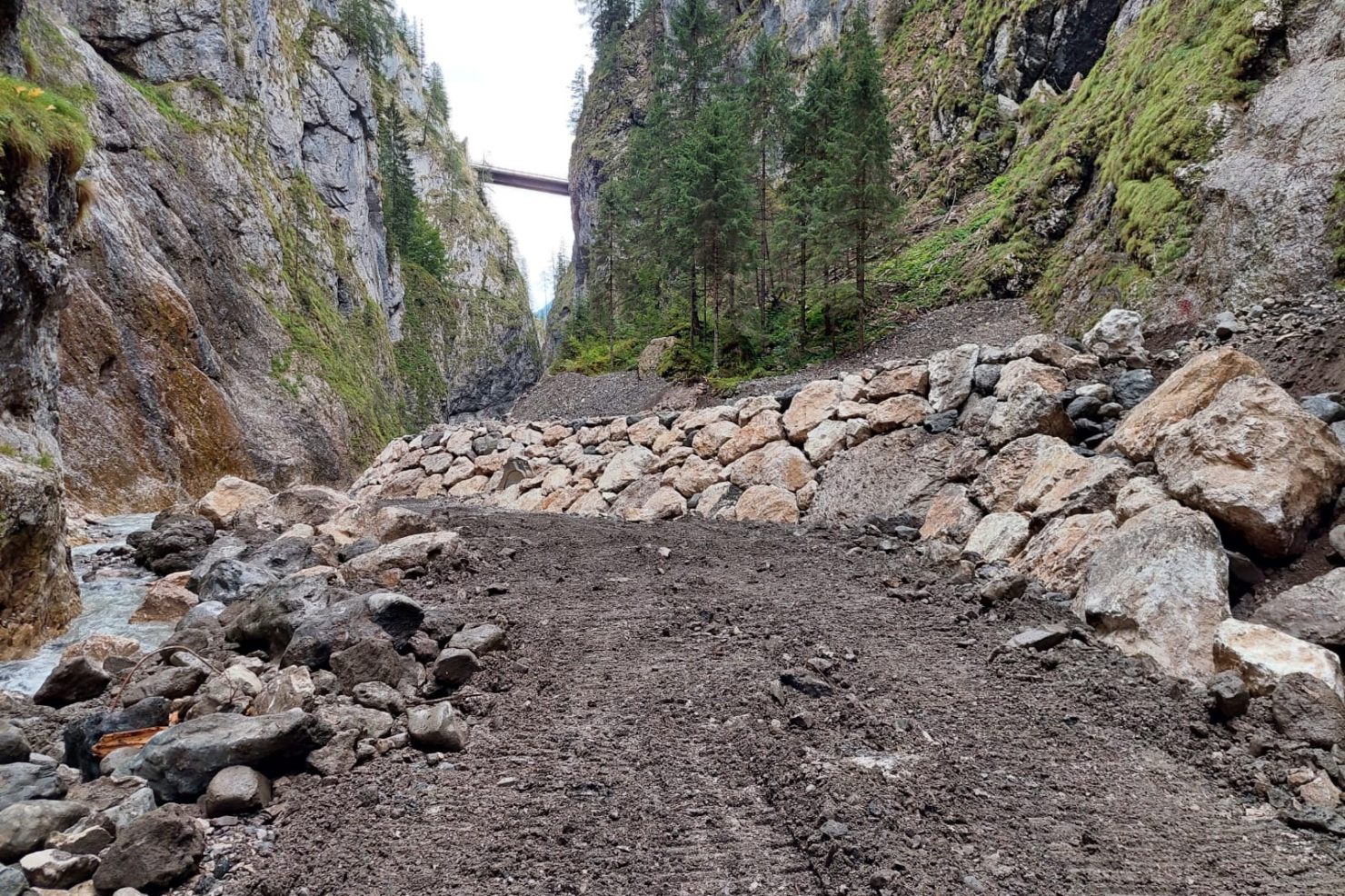 76c47455-8709-4d30-92e2-9d7942e02202