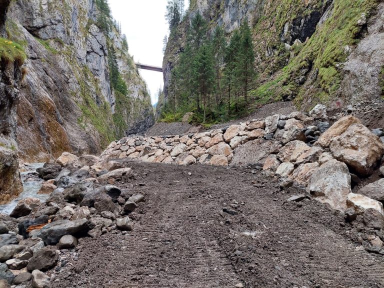 76c47455-8709-4d30-92e2-9d7942e02202