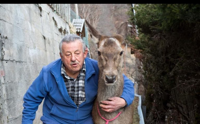 86665809_503422720372071_8216449415670398976_n_2