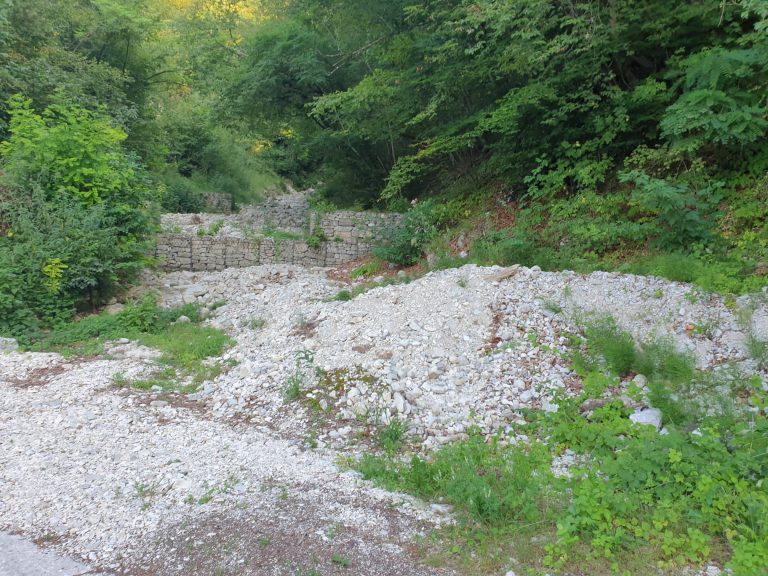 Briglie Tomo prima dell’intervento