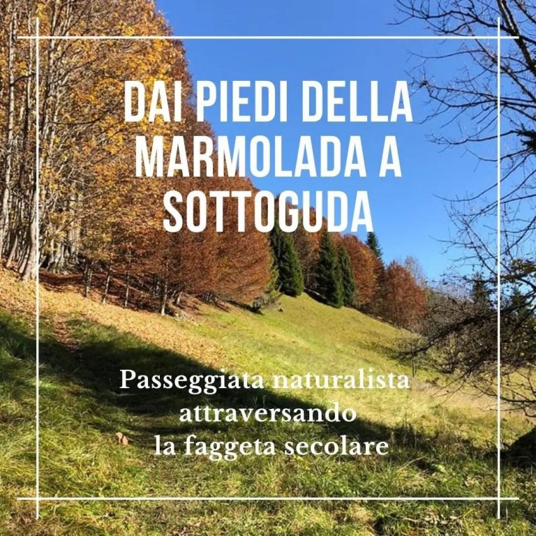 b5e996c7-e2e6-4fec-9337-cd086d266e7f