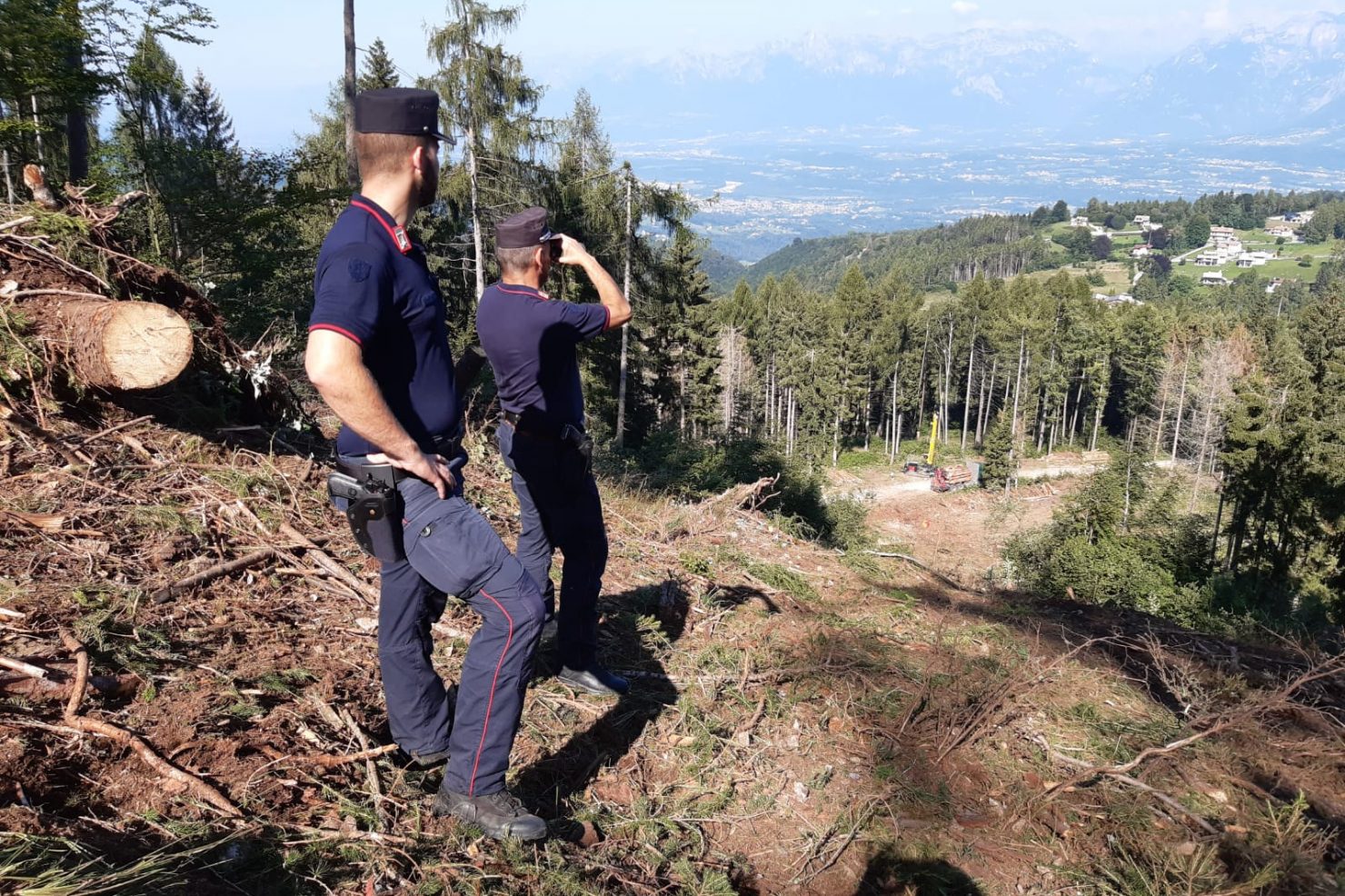 b8dd53fc-e314-4128-bbe6-b9e78743d573