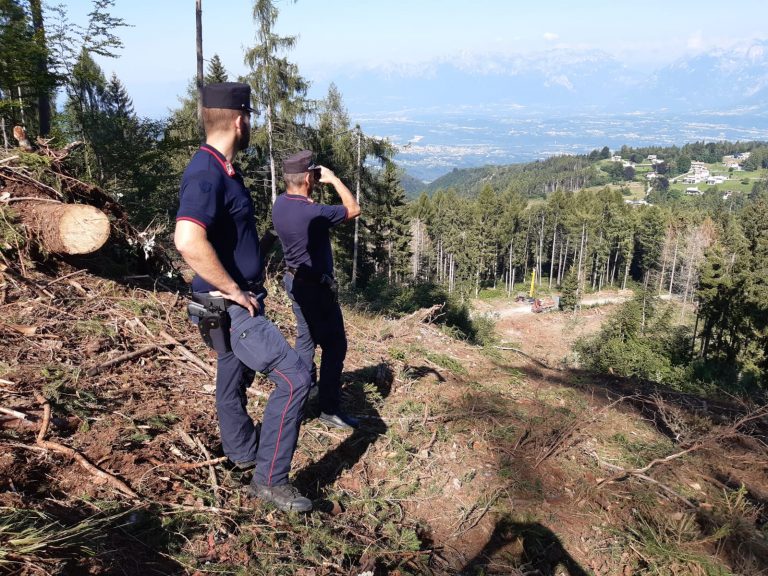 b8dd53fc-e314-4128-bbe6-b9e78743d573