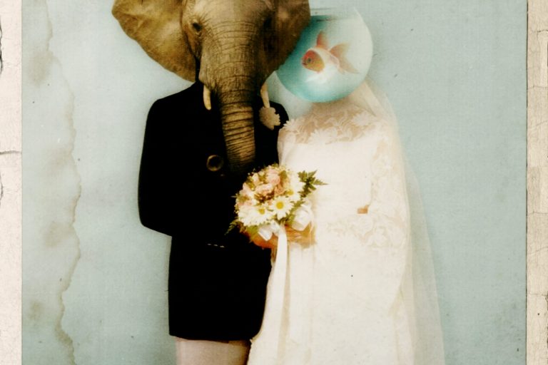 ptn_ricordi_artwork_def