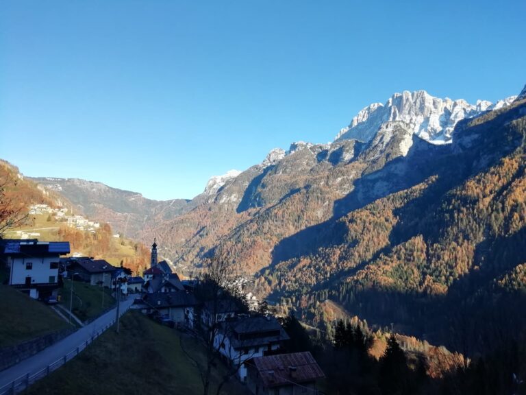 2adbb062-4c74-434c-aa4a-ca6941e9f89f