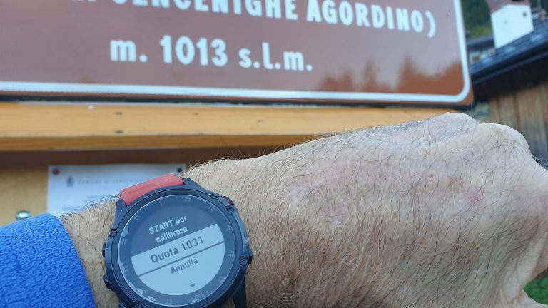 310106410_5537754736290033_521647544476046139_n