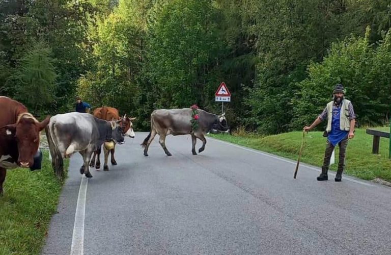 3494076f-8367-4e1e-95d1-8b34ac35ccca