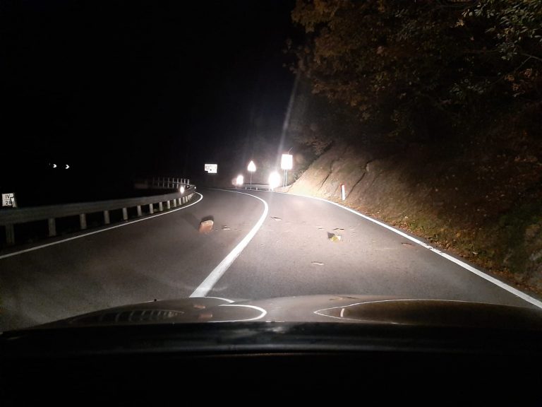 431bf414-31bd-41b6-9465-931045b30bc4