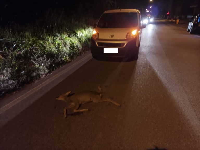 575b1dfc-e80c-467e-8a02-16c9c6ef113f