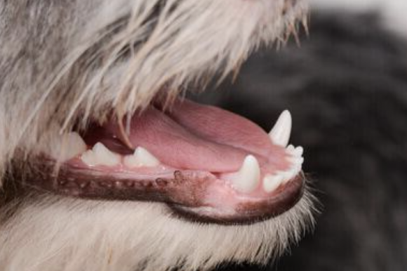 Schermata 2022-10-01 alle 13.46.04