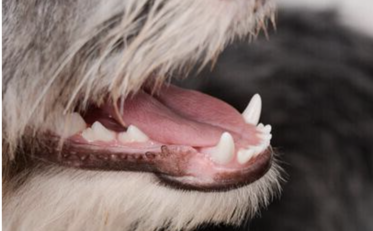 Schermata 2022-10-01 alle 13.46.04