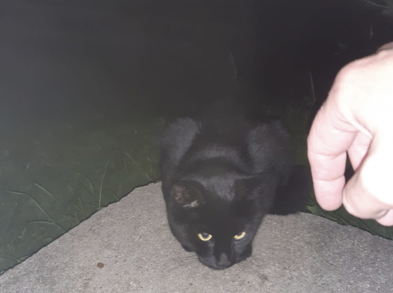 Schermata 2022-10-03 alle 21.09.12