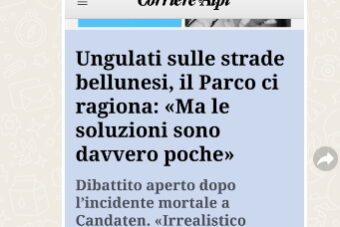 Senza nome