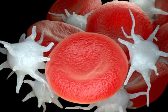 WhatsApp Image 2022-10-24 at 10.55.40