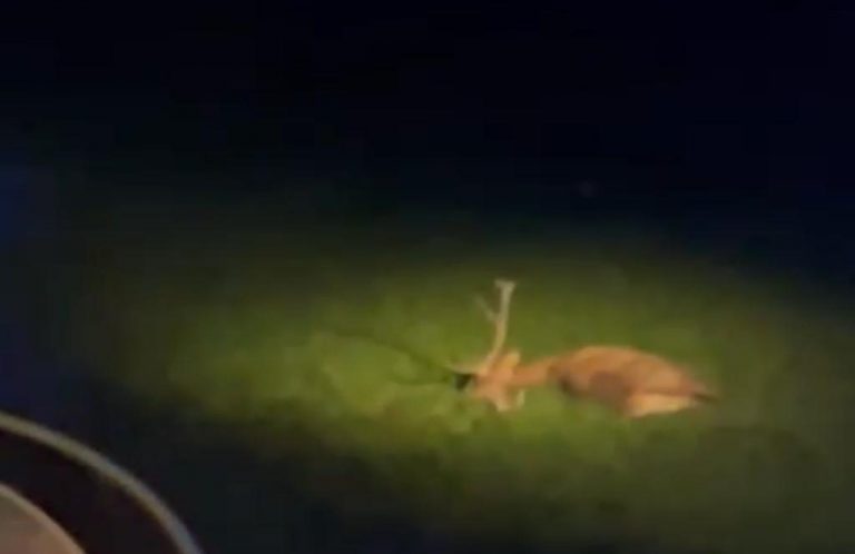 b55ef9d3-dd58-4289-9156-34fcaad1aeaa