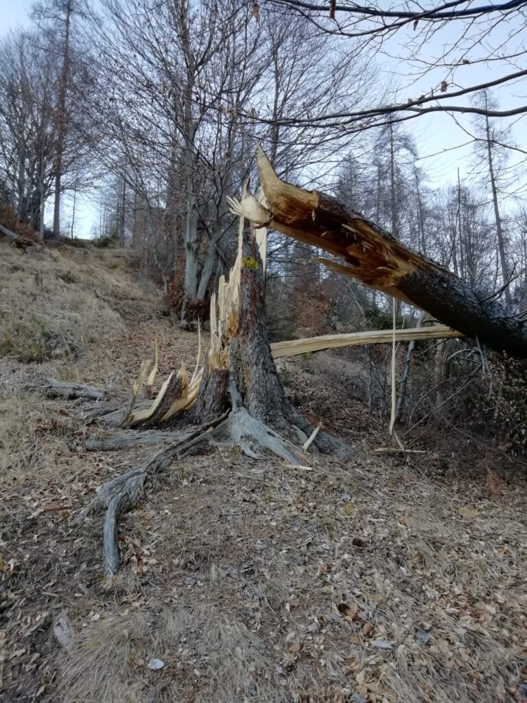 bf11fe02-7522-4b51-b343-16589024e76d