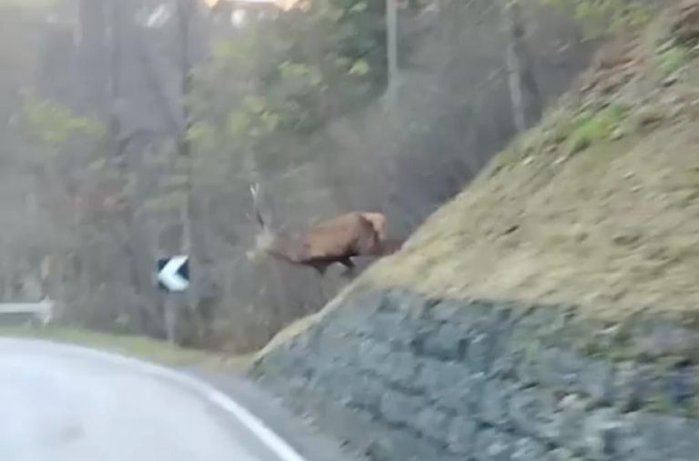 250a4000-ca9d-4ebb-9d79-1a4c6bb672ee