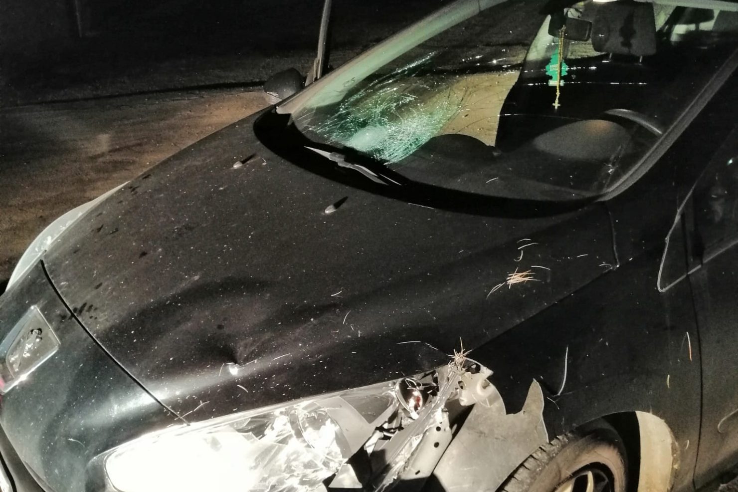 29f8ce72-d8cb-4b13-90b2-3ae401db1d87