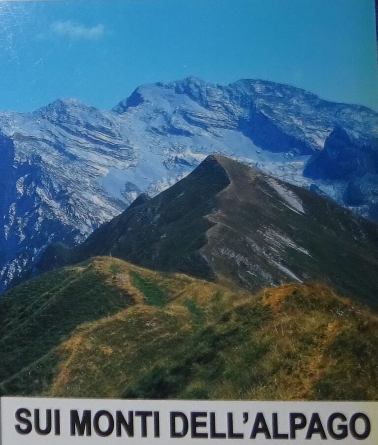 312011910_6028583167165990_3698867540146053032_n