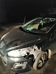 32e57715-f89c-4fc0-9cb7-418873c7a4ac-225×300