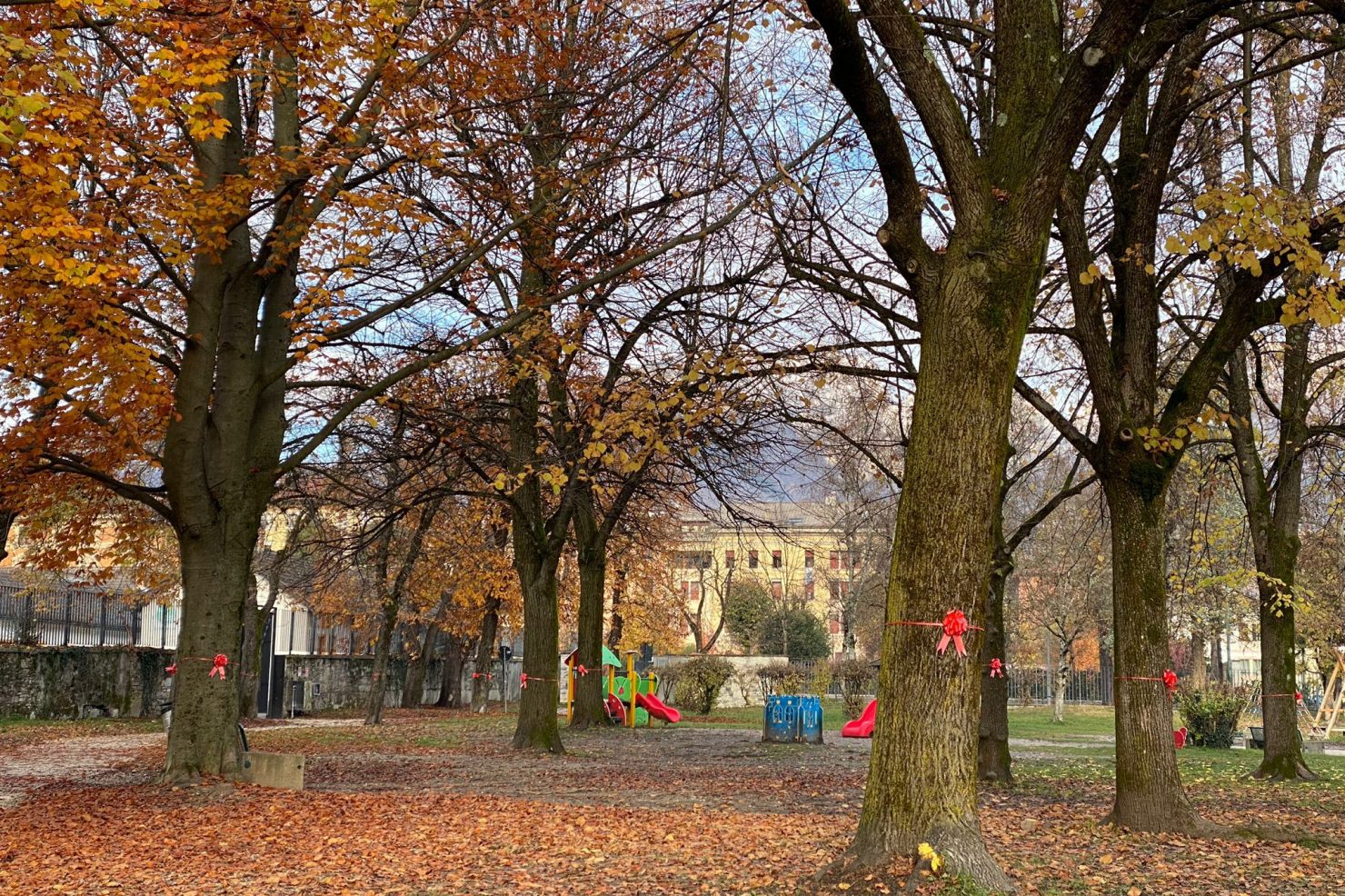 7db96a5a-7087-494e-9428-a18419712c76